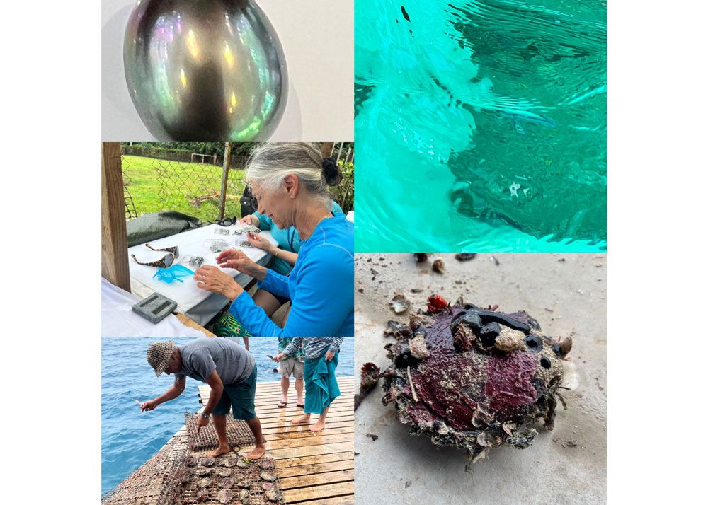 A collage of images from Diana Widman's pearl adventure